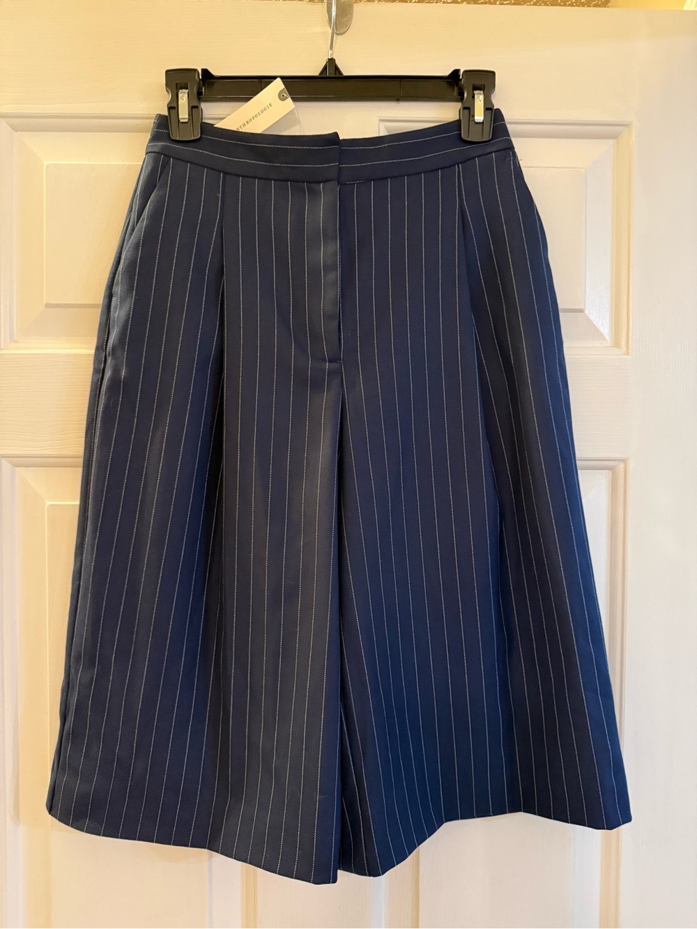 Anthropologie Women’s Navy Pinstripe Pleated Shorts Size 0